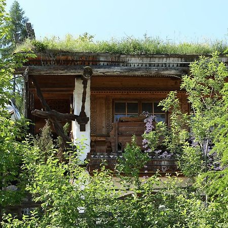 Chalet Alm Planai Schladming Eksteriør bilde