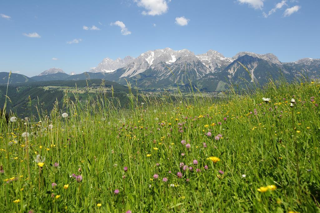 Chalet Alm Planai Schladming Eksteriør bilde